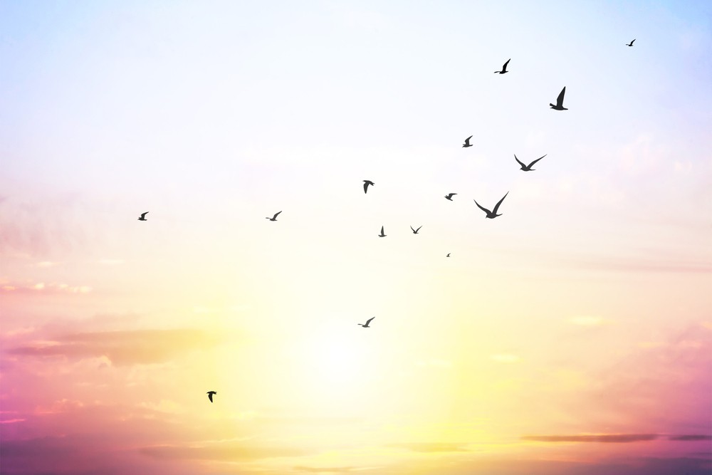 Orakel - Ein Blick in die Zukunft: Foto: © robert s / shutterstock / #671824789 Orakel - Ein Blick in die Zukunft: Foto: © robert s / shutterstock / #671824789